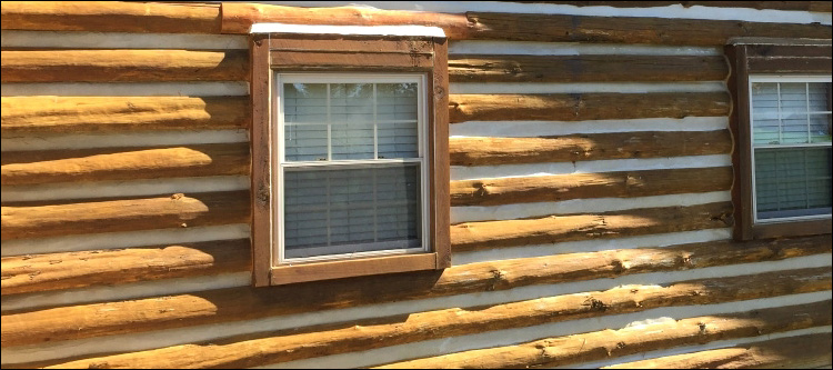 Log Home Whole Log Replacement  Coffee County, Georgia
